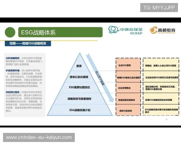 财报透明与公平竞争法案在企业治理中的实践与启示